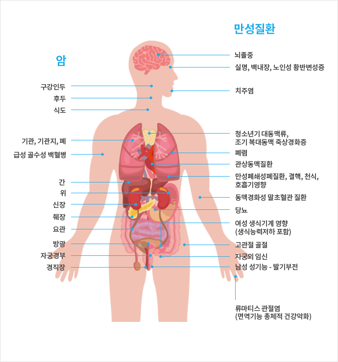 흡연으로 인한 건강 영향