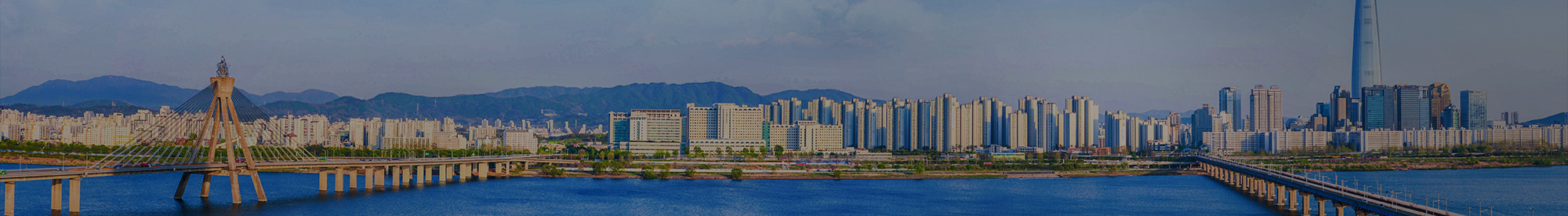 서브 배너